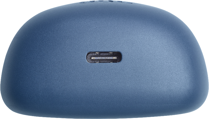 Blaues, oval geformtes Gerät mit einem USB-C-Anschluss.
