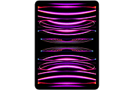 APPLE iPad Pro 11" (2022) - Wifi - 2 TB - Spacegrijs