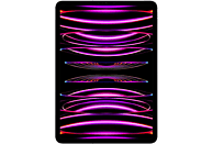 APPLE iPad Pro 11" (2022) - Wifi + Cell - 128 GB - Spacegrijs