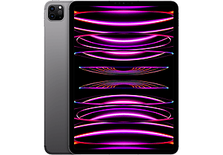 APPLE iPad Pro 11" (2022) - Wifi + Cell - 512 GB - Spacegrijs