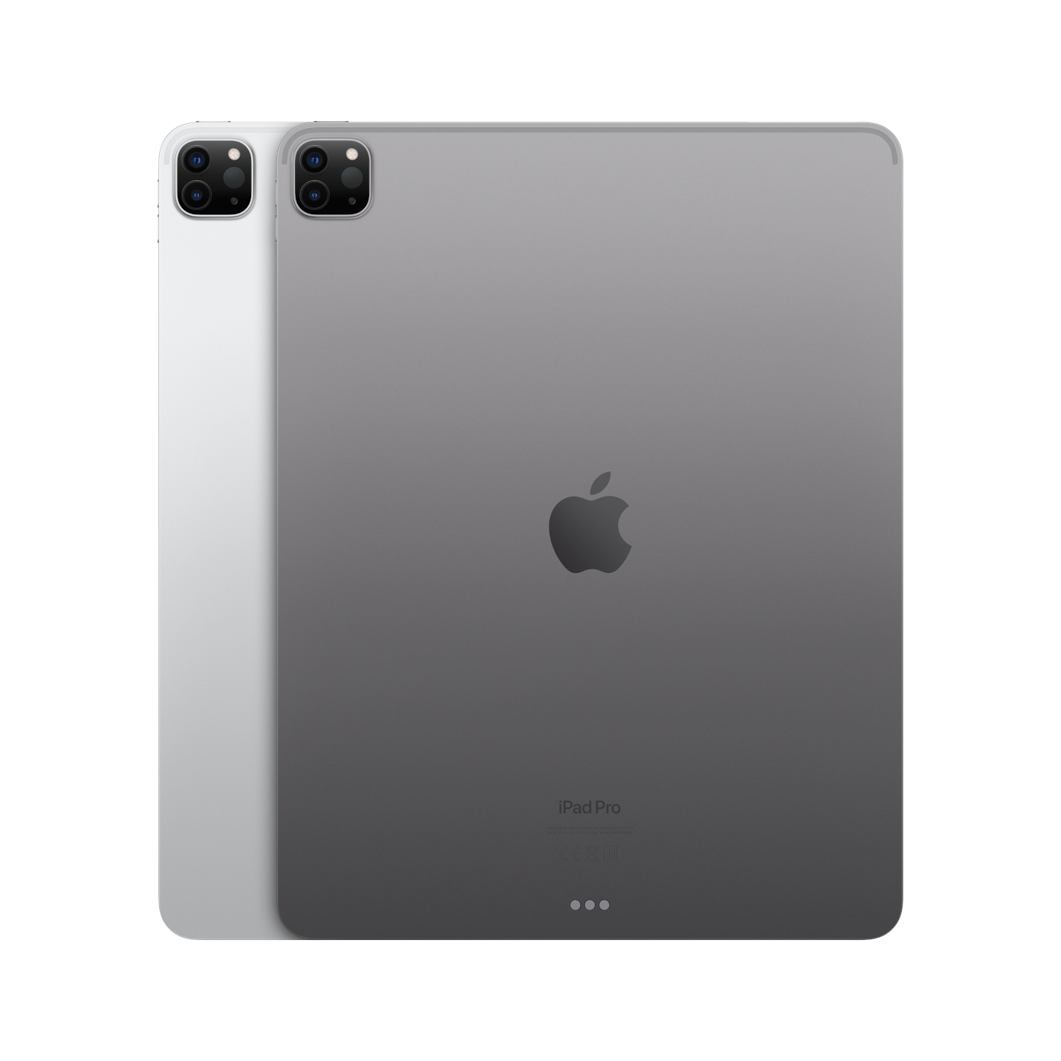 Twee iPads, grijs en zilver, tonen de achterkanten met camera's en Apple logo.