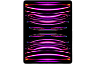 APPLE iPad Pro 12.9" (2022) - Wifi + Cell - 256 GB - Spacegrijs