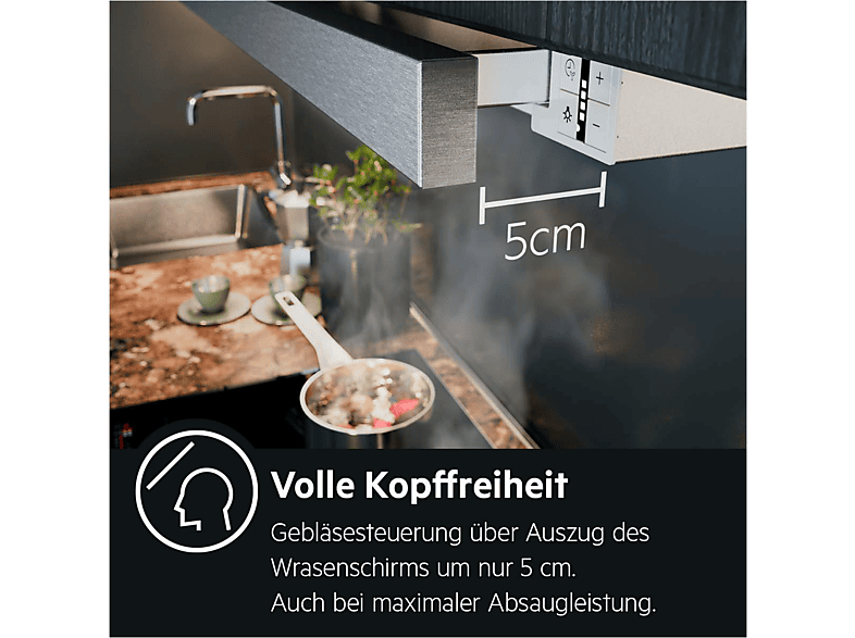 AEG DPS362AS, Dunstabzugshaube (598 mm breit, 304 tief)