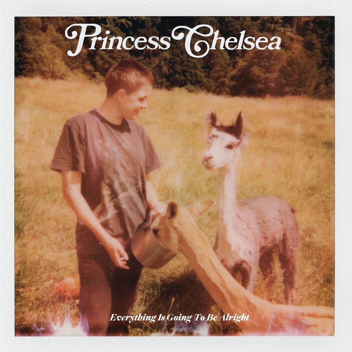 Princess Chelsea - Everything Is Going To Be Alright (Vinyl LP (nagylemez))