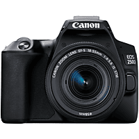 FOTOCAMERA REFLEX CANON EOS 250D BLACK + EF-S 18-55 IS STM
