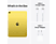 APPLE iPad 10.9" (2022) WiFi 256GB Surfplatta - Gul