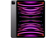 APPLE iPad Pro 12.9'' Chip M2 (6ª Generazione) Wi-Fi + Cellular 128GB Grigio Siderale