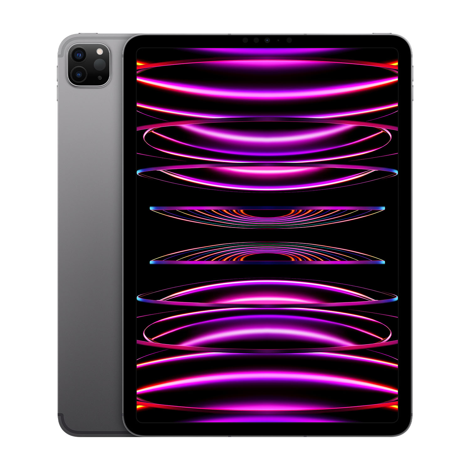 Apple iPad Pro 11'' Chip M2 (4ª Generazione) Wi-Fi + Cellular 1TB Grigio Siderale