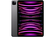 APPLE iPad Pro 11'' Chip M2 (4ª Generazione) Wi-Fi + Cellular 2TB Grigio Siderale