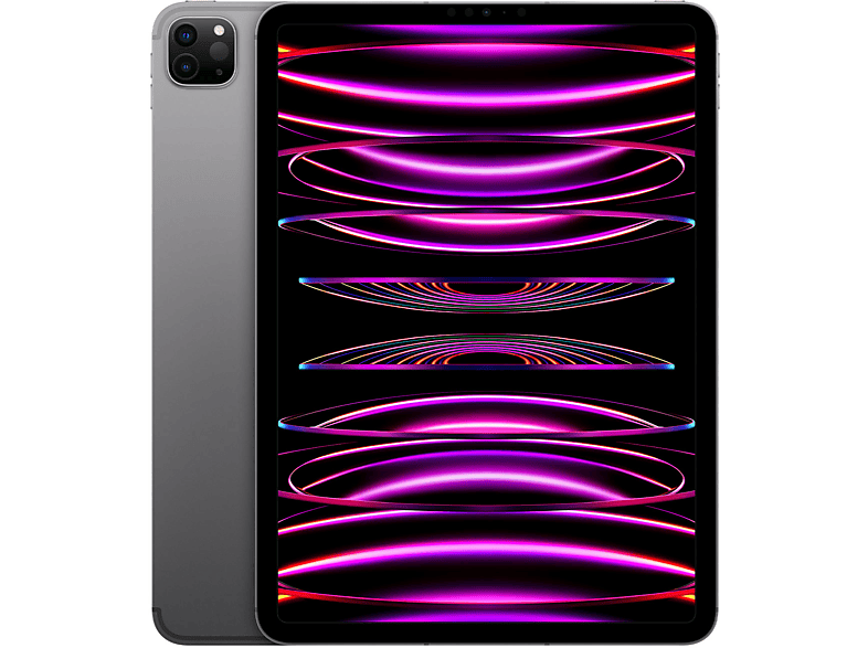 Apple iPad Pro 11'' Chip M2 (4a Generazione) Wi-Fi + Cellular 2TB Grigio Siderale Slate