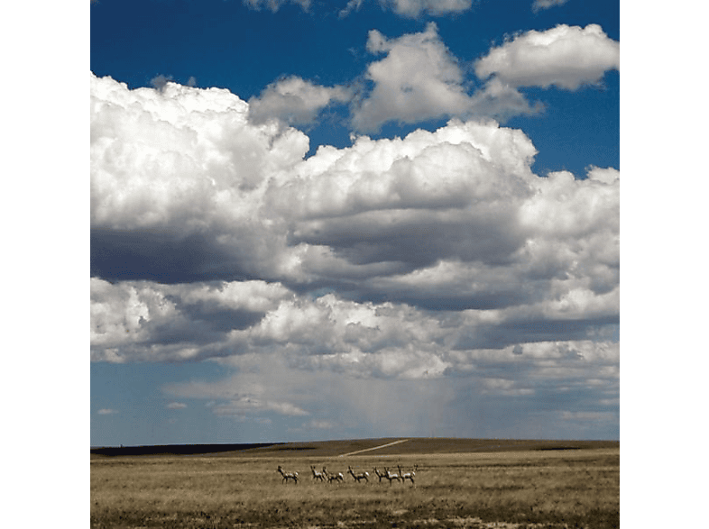 Fruit Bats TripperWhite And Sea Glass Blue Vinyl (Vinyl) Fruit