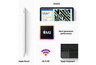 APPLE iPad Pro 11" 2 TB Wi-Fi Space Gray 2022 (MNXM3NF/A)