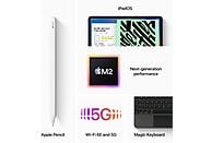 APPLE iPad Pro 11" 512 GB Wi-Fi + Cellular Space Gray 2022 (MNYG3NF/A)