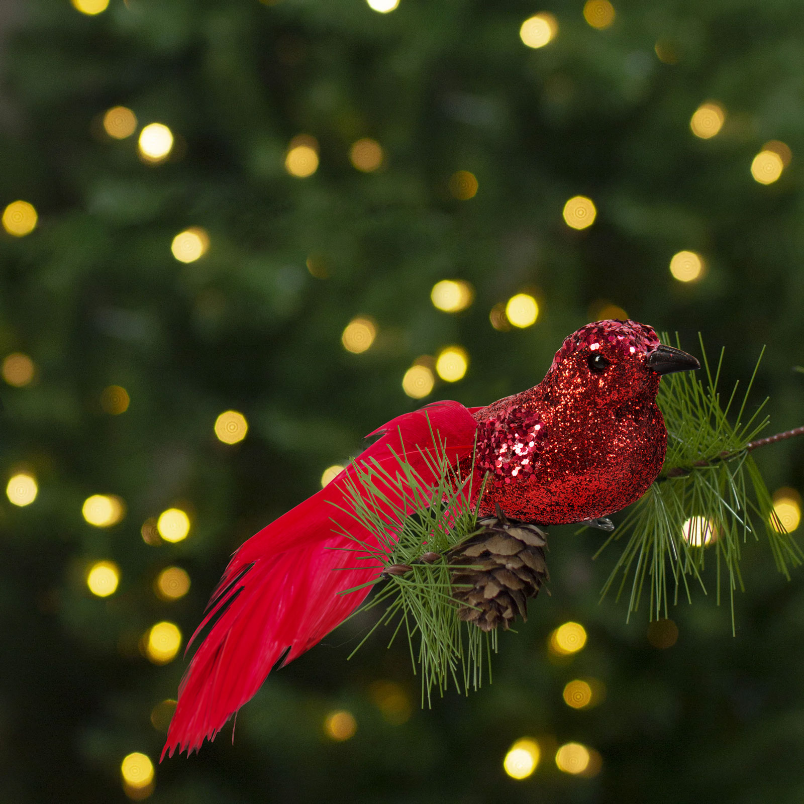 Piros díszmadár tobozzal egy ágon. Karácsonyfa-fények a háttérben.