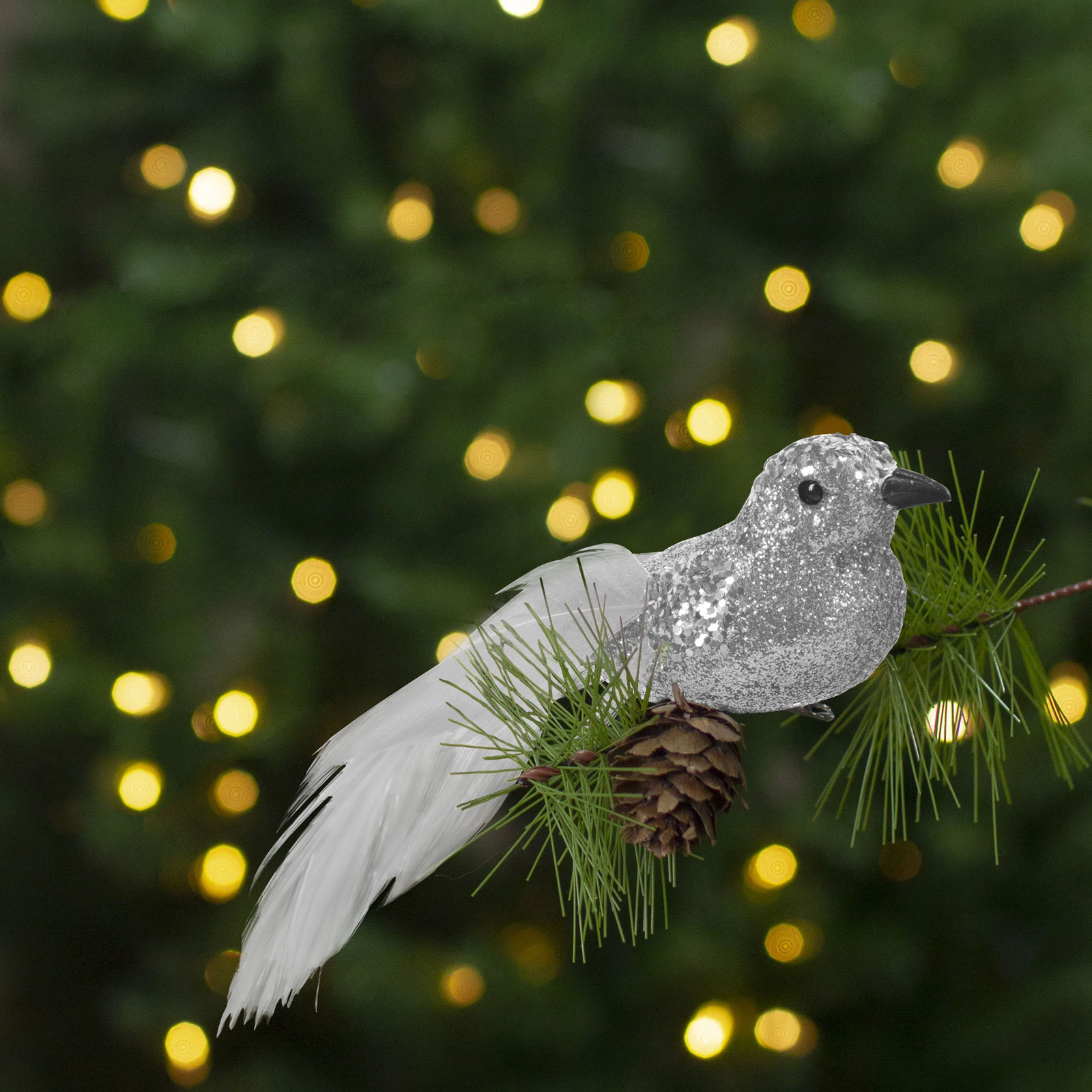 Ezüst testű díszmadár fenyőágon, bokeh háttérrel.