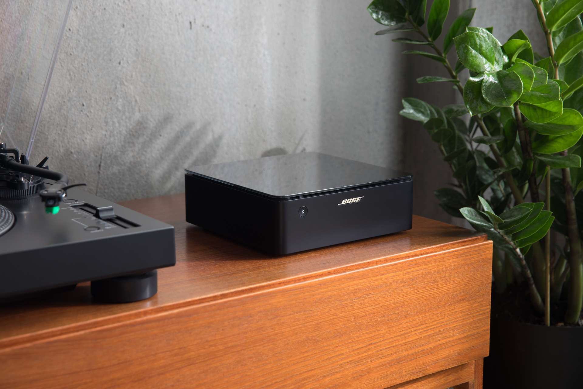 Schwarzer Bose-Lautsprecher auf Holzschrank, Plattenspieler links und Pflanze rechts.