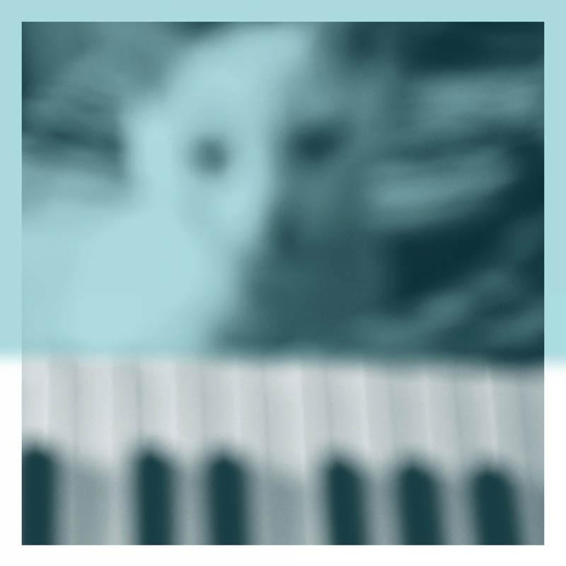 Peter Broderick - Piano Works 1 (Floating In Tucker's Basement)  - (Vinyl)
