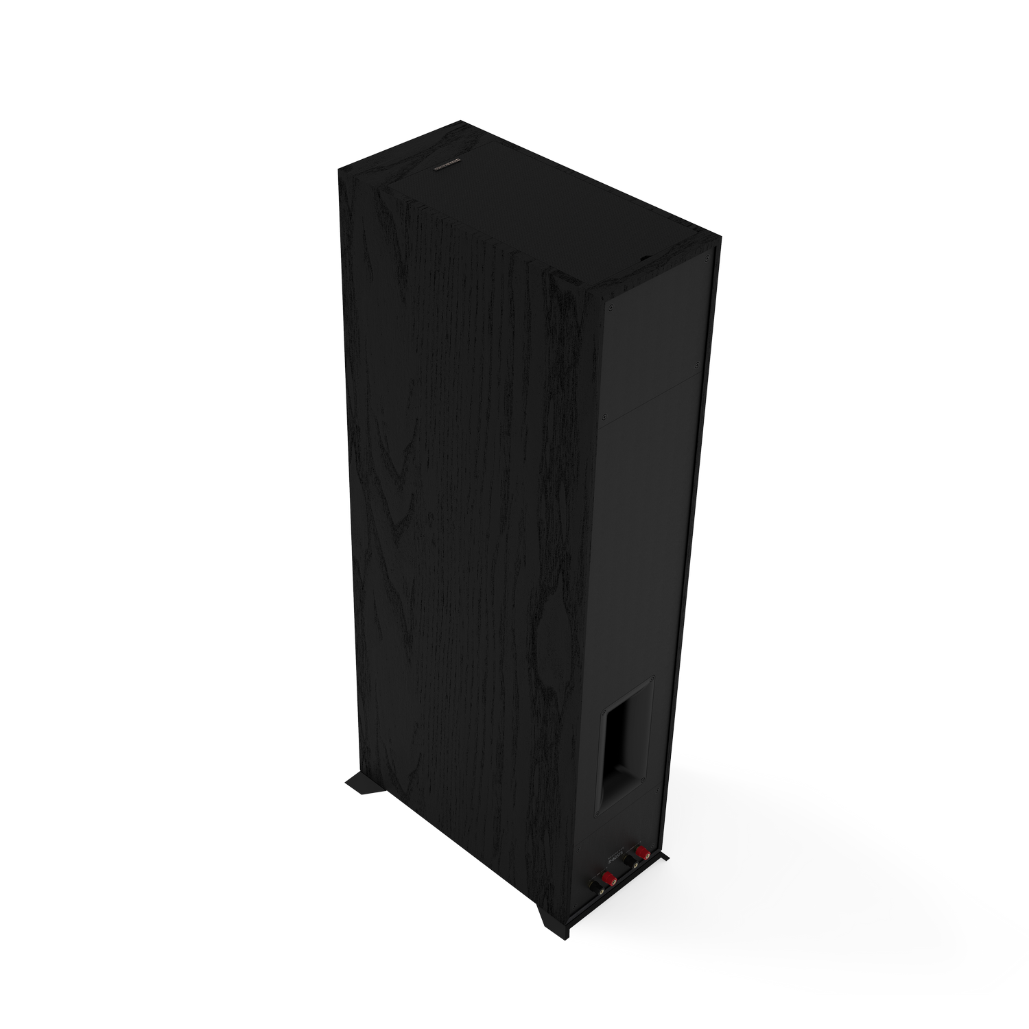 Black speaker, standing upright on a black surface.