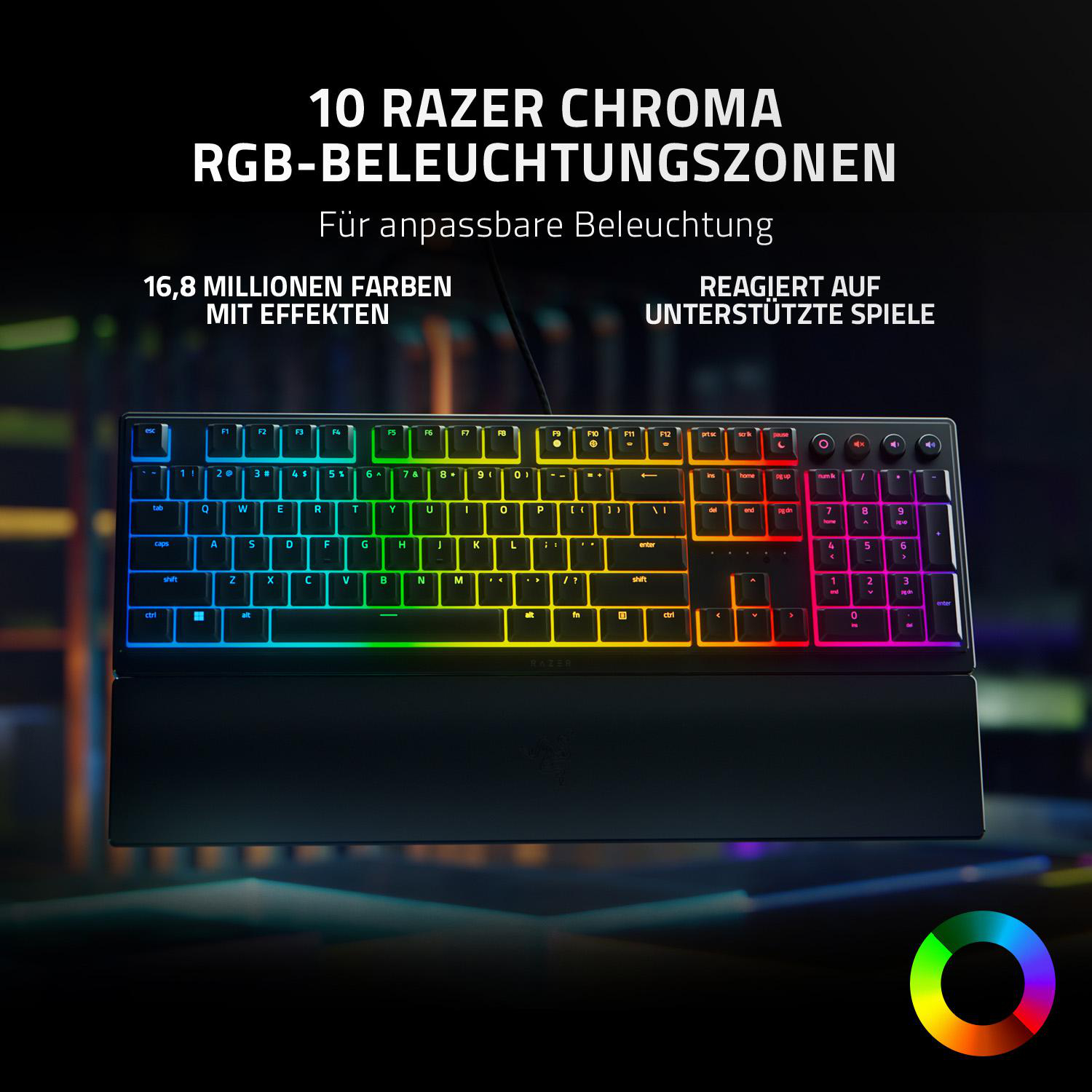 Razer-Tastatur mit beleuchteten Tasten, schwarzer Handballenauflage und Text zu Anpassungsoptionen.