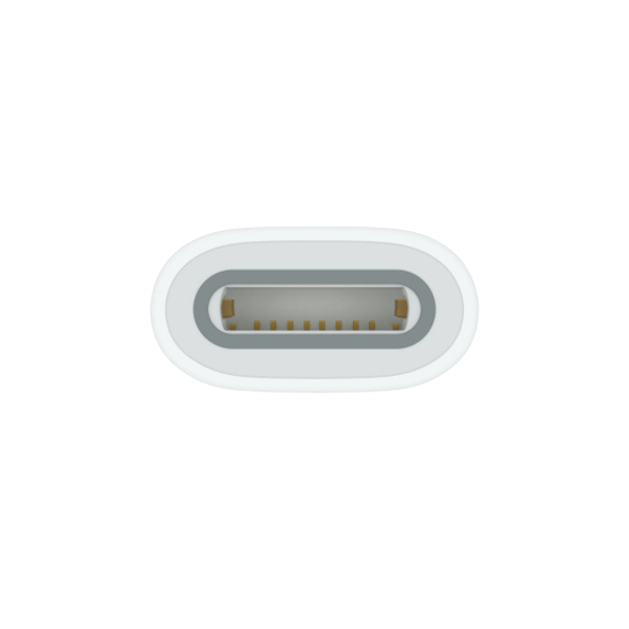 Close-up van een witte USB-C-poort met goudkleurige contacten.