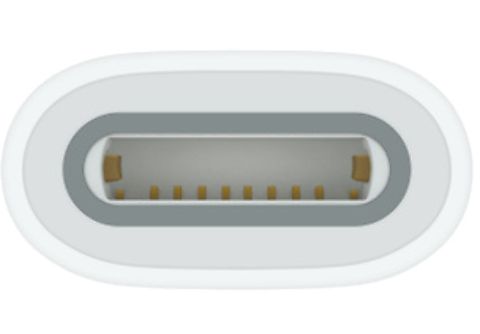 APPLE Adapter USB-C - Stylus Apple Pencil (MQLU3ZM/A)