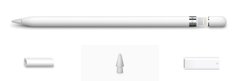 Apple Pencil et ses accessoires. Le stylo est blanc, avec une pointe et un adaptateur de charge.