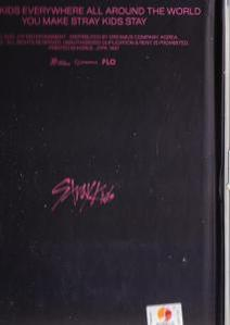 Stray Kids - Maxident  - (CD + Buch)