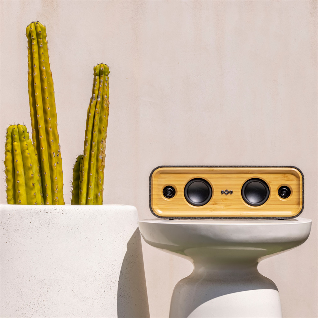 Een bruin luidspreker staat op een witte standaard naast een cactus. Een lichte muur is de achtergrond.