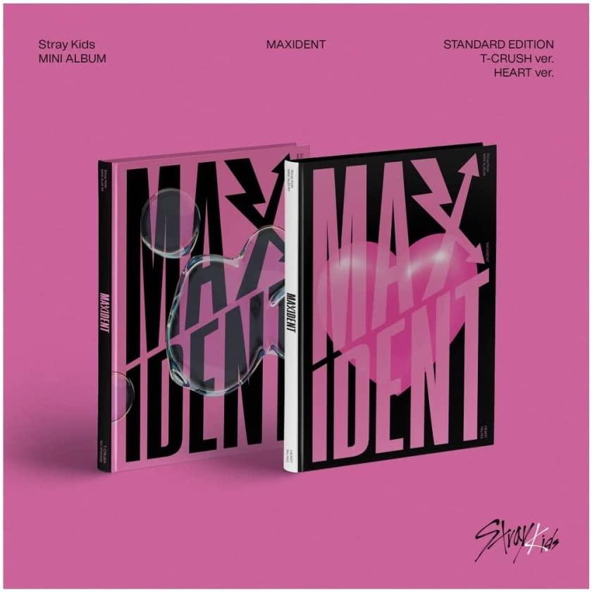Stray Kids - Maxident  - (CD + Buch)