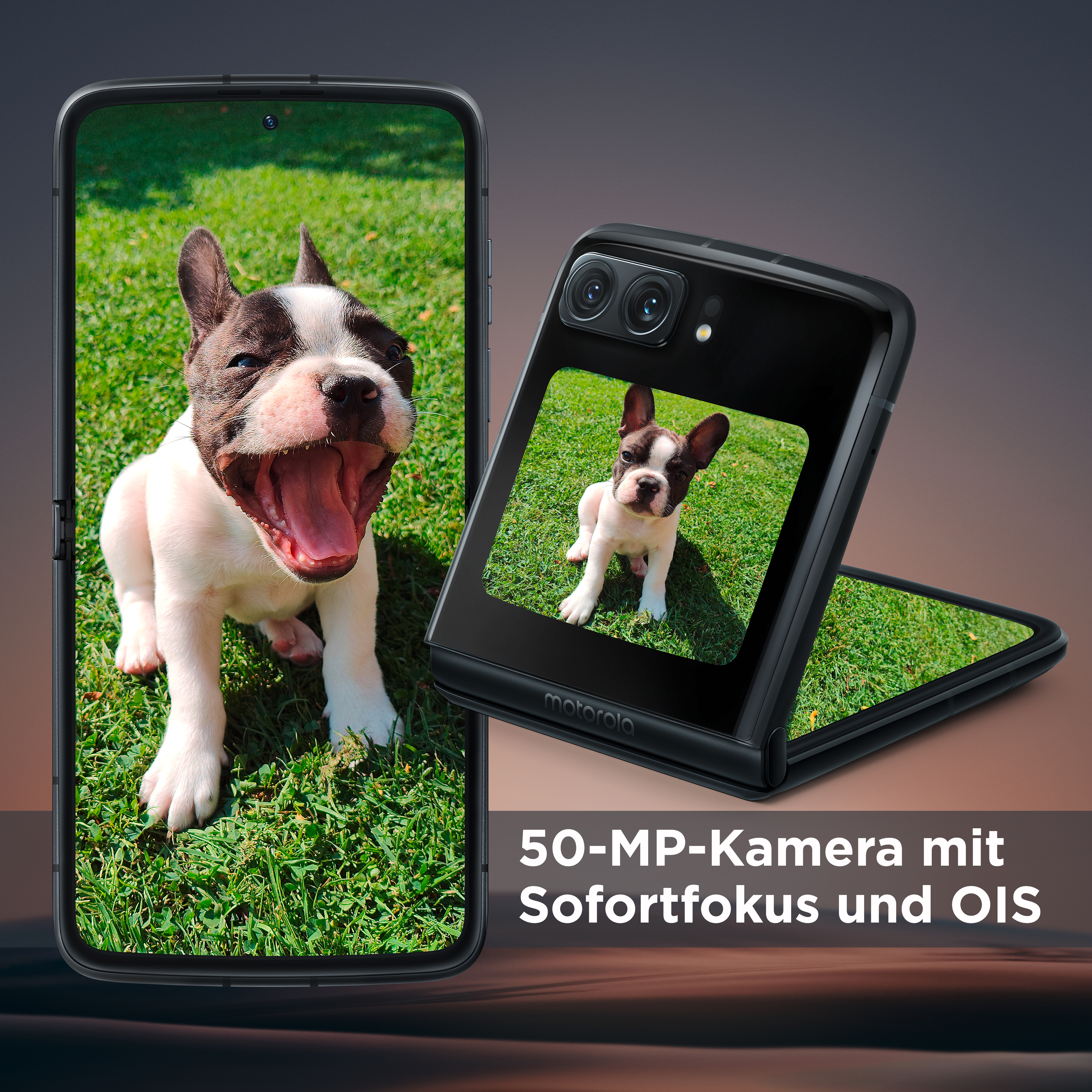 Telefon zeigt Hund mit offenem Mund. Ein weiteres Telefon ist daneben. Text auf der Seite.