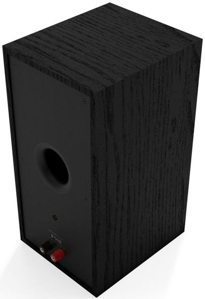 Black speaker with a hole and two terminals on the back. It is a black wooden box.