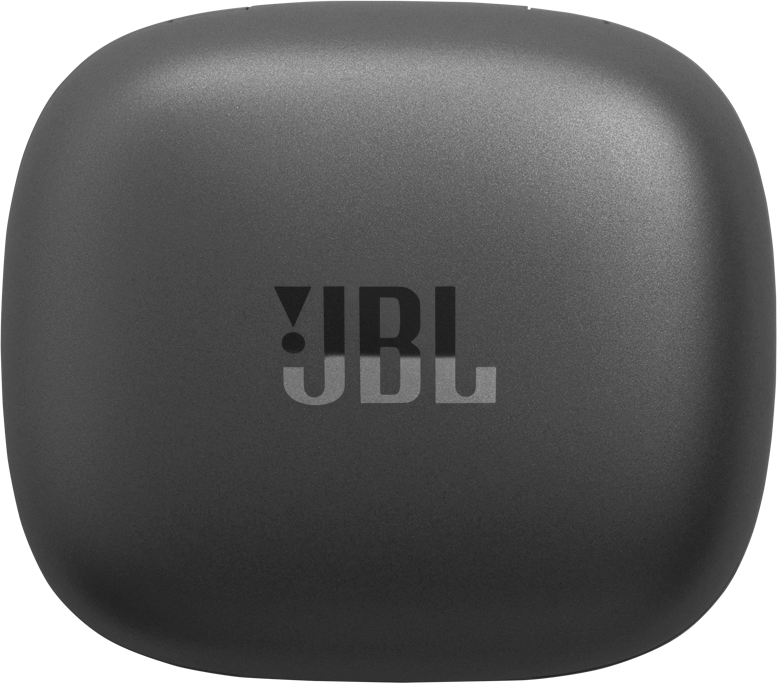 Ein graues JBL Ohrhörer-Etui mit dem JBL-Logo in der Mitte des Etuis.