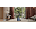ELECTROLUX EB61C2DBF Dammsugare - Denim Blue
