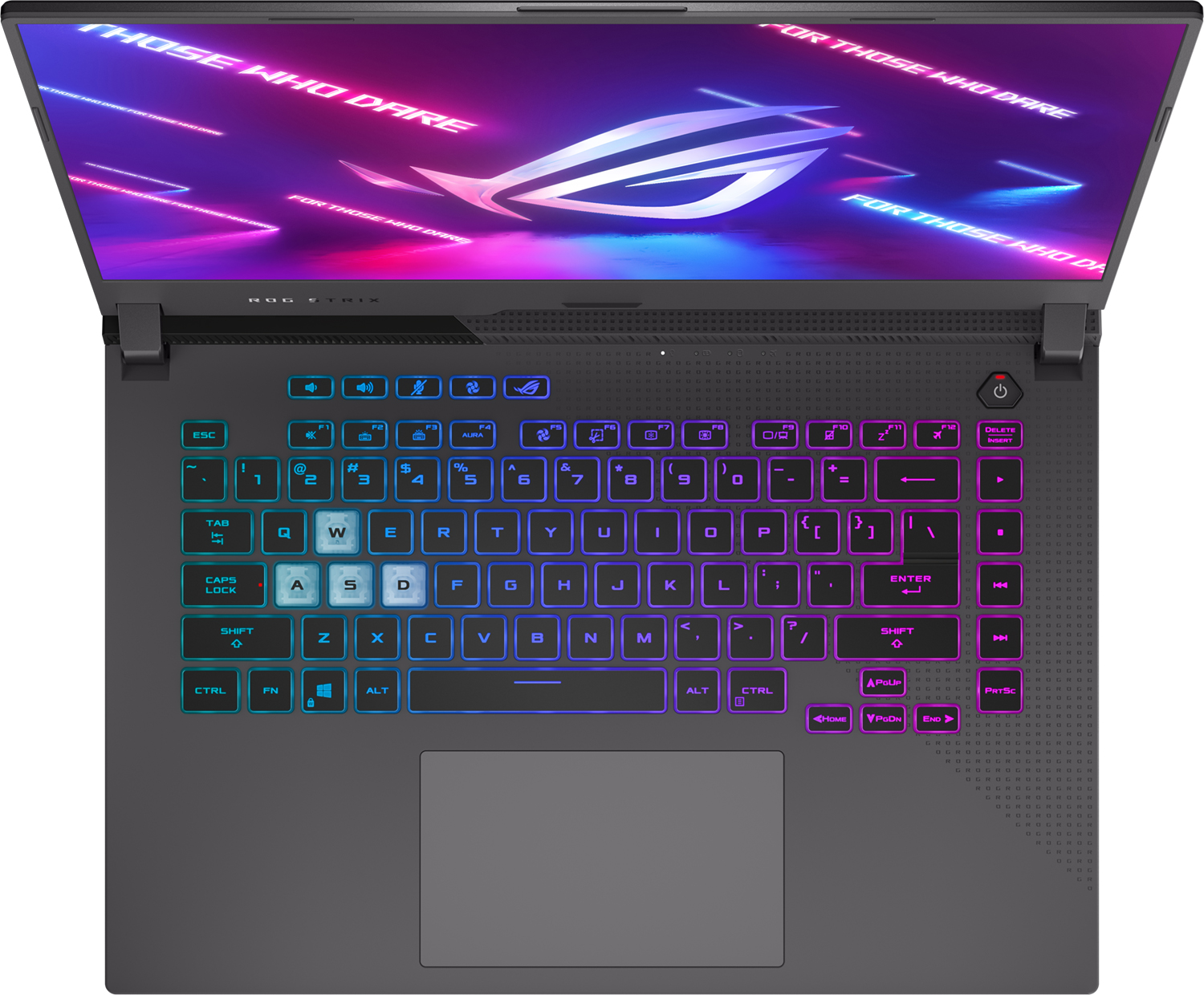 ASUS PC portable gamer ROG Strix G15 G513IM AMD Ryzen 7 4800H (G513IM-HN073W)