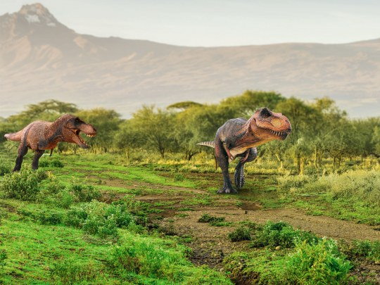 Zwei Dinosaurier-Modelle in einer Landschaft. Einer jagt den anderen, mit Bergen im Hintergrund.