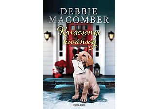 Debbie Macomber - Karácsonyi kívánság