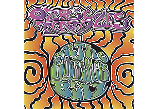 Ozric Tentacles - At The Pongmasters Ball (CD + DVD)