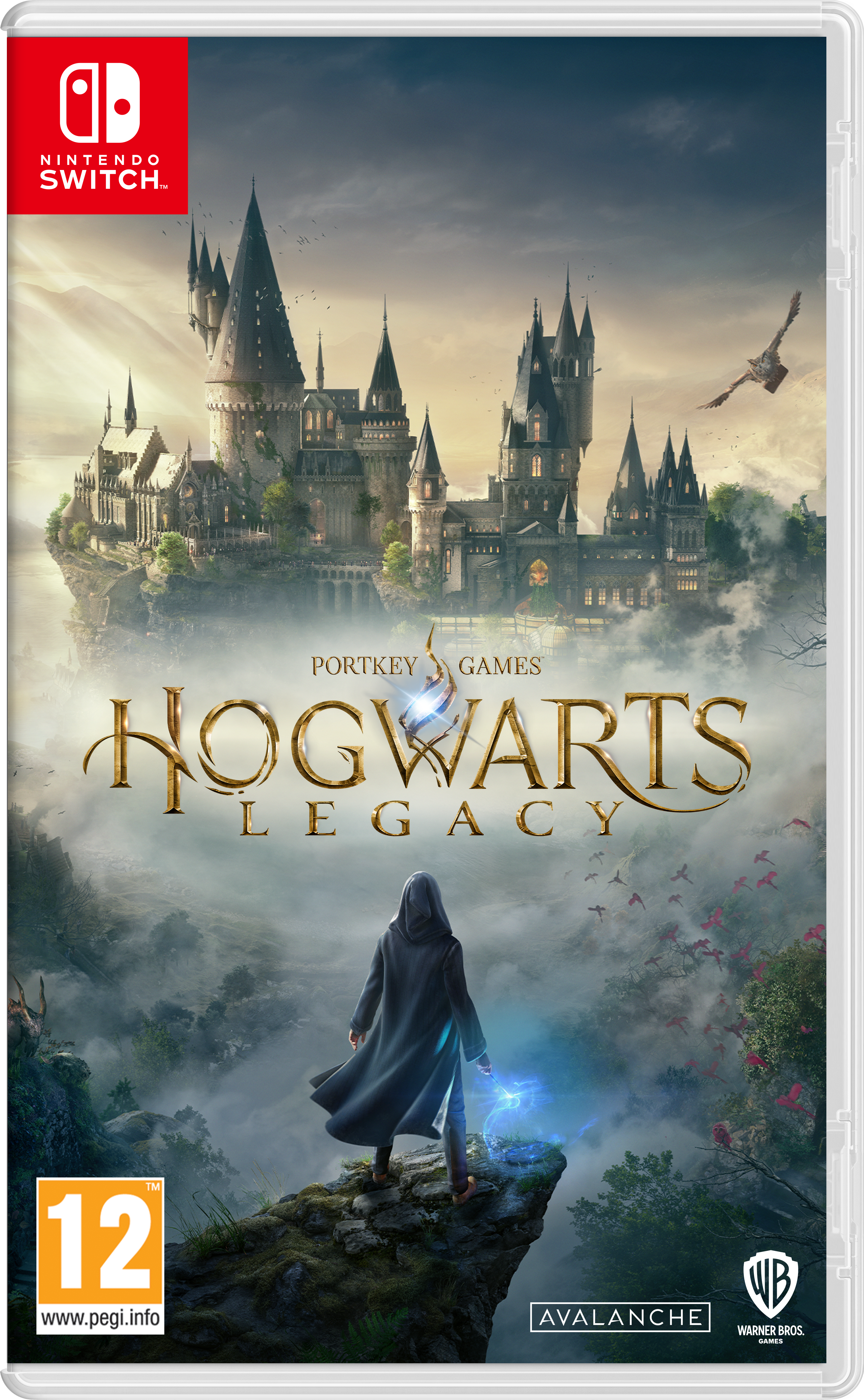 Nintendo Switch Hogwarts Legacy