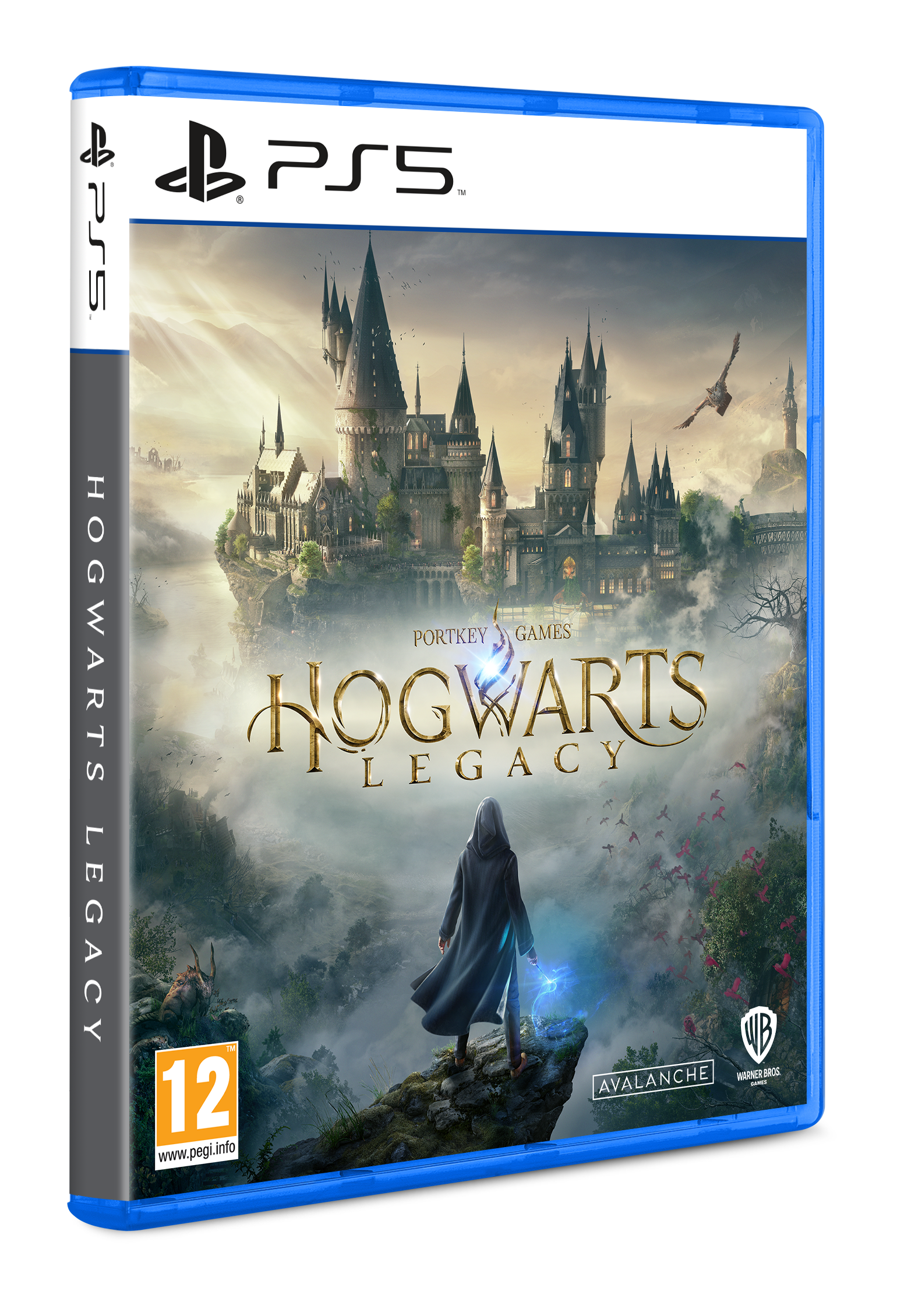 Caja de juego PS5: 'Hogwarts Legacy'. Una persona está frente a un castillo en la portada.