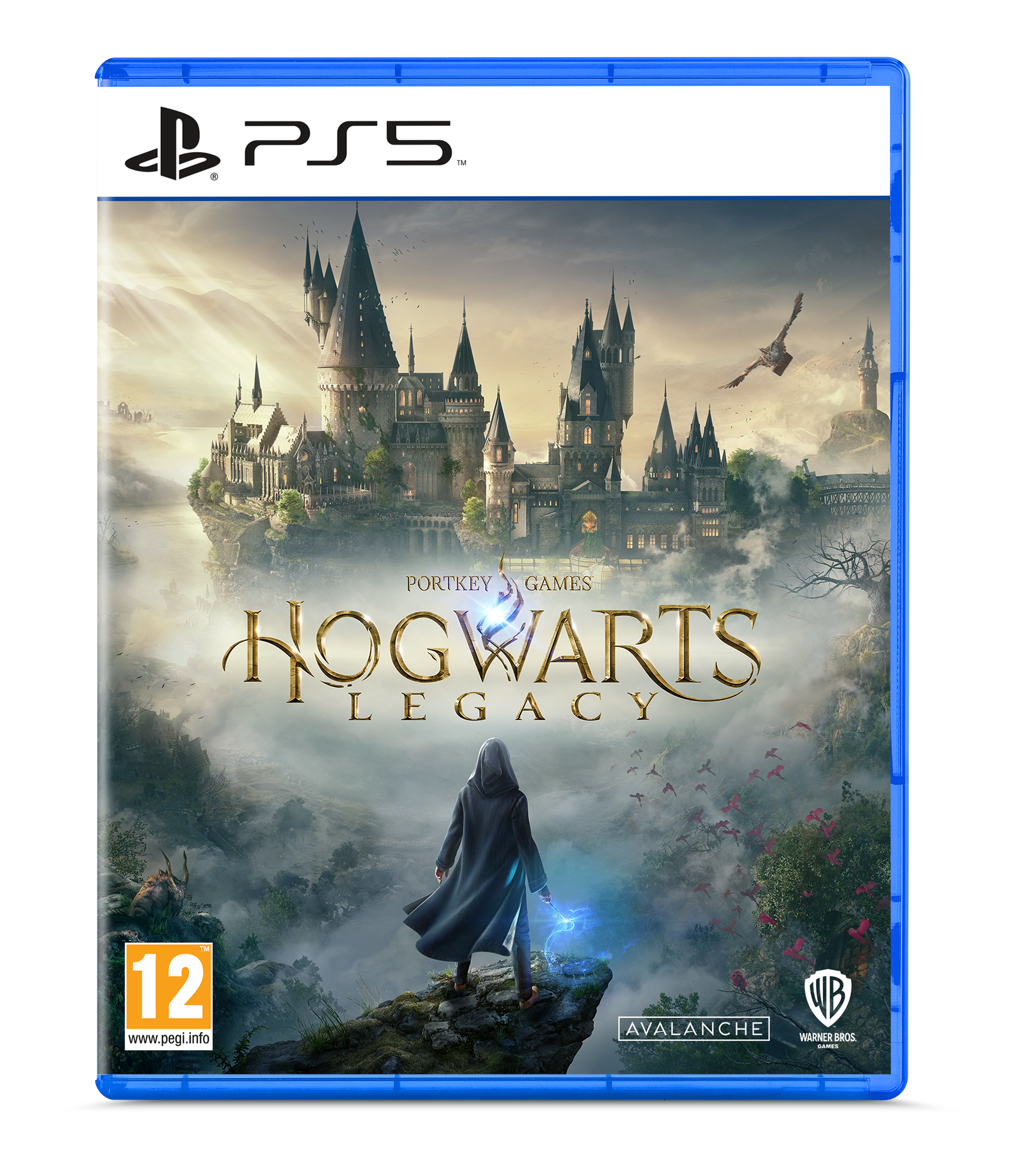 Ps5 Hogwarts Legacy para standard playstation 5