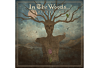 In The Woods... - Diversum (CD)