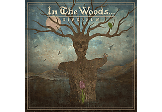 In The Woods... - Diversum (Blue Vinyl) (Vinyl LP (nagylemez))