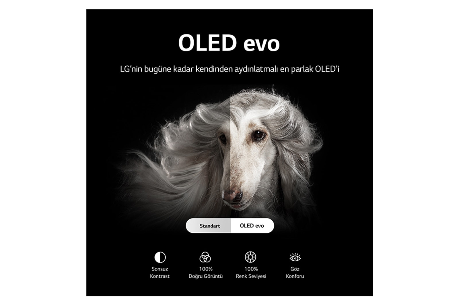 LG OLED83G2 83 inç 210 Ekran Uydu Alıcılı Smart 4K Ultra HD OLED TV