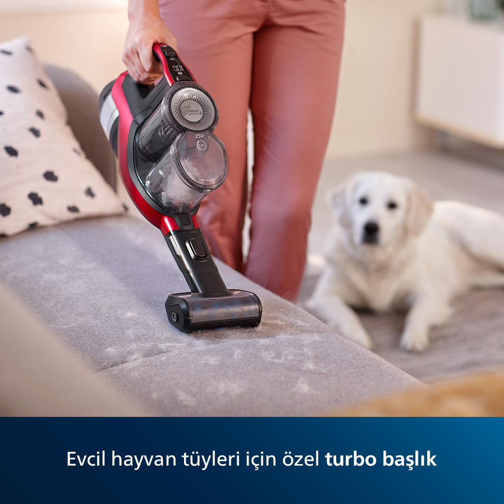 Kırmızı ve siyah bir elektrik süpürgesi, arka planda beyaz bir köpek ile gri bir kanepayı temizliyor.