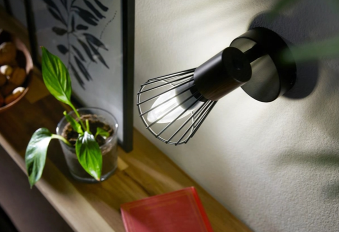 Wandleuchte mit dunklem Metallkäfigschirm und Holzakzent. Pflanze und Kunst auf dem Regal.