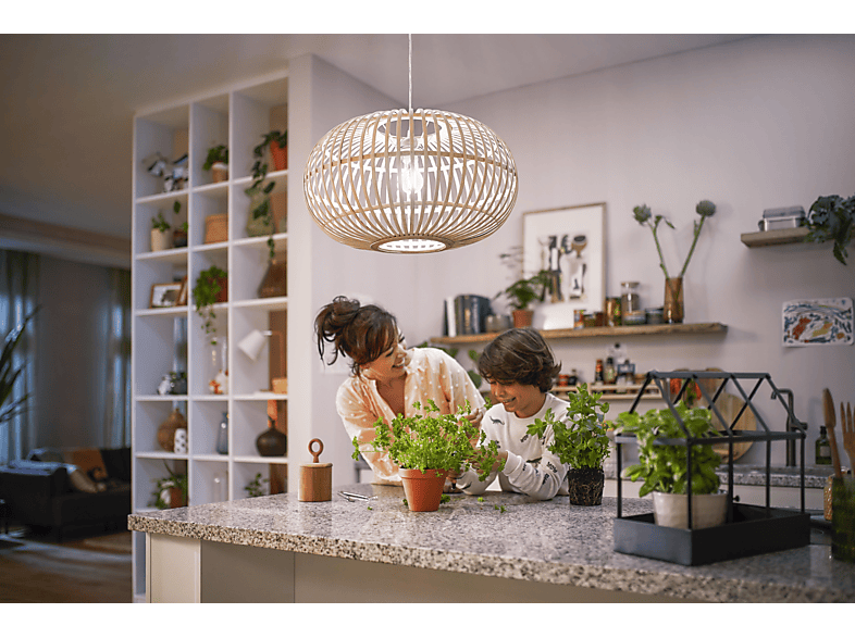 PHILIPS LED CLA 100W A67 E27 WH FR EELA SRT4 Lampe Warmweiß 1535