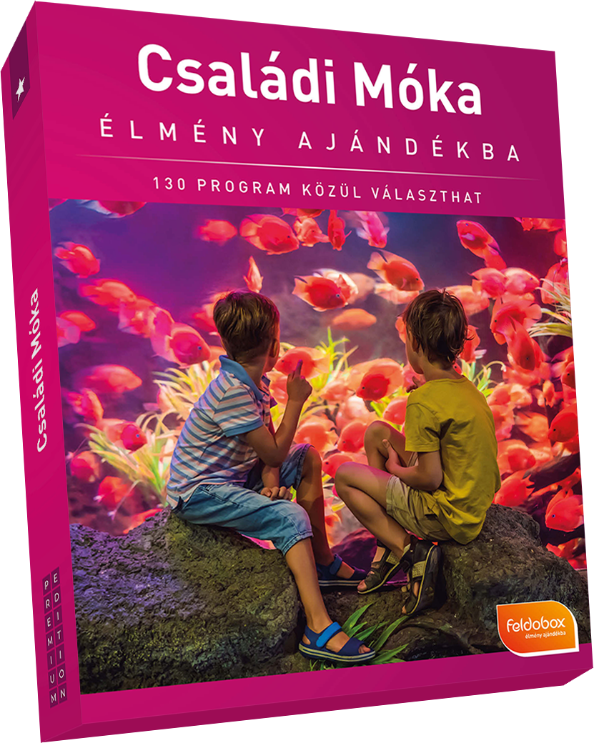 Doboz két fiú képével, akik halakat néznek egy akváriumban. A dobozon a 'Családi Moka' szöveg.