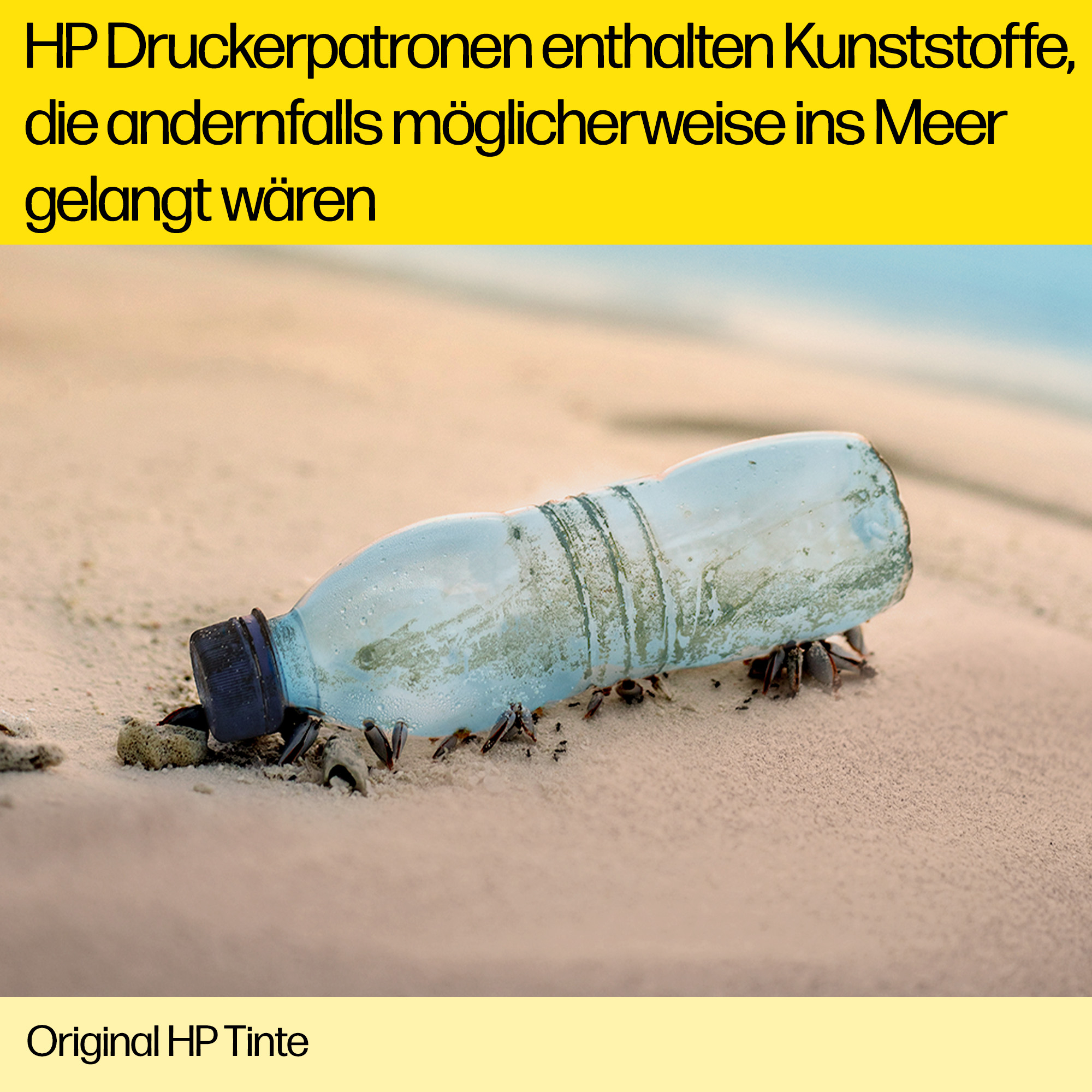 Eine Plastikflasche am Strand. Krabben sind darum. Sandstrand im Hintergrund.