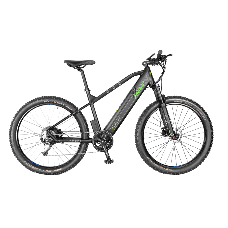 REACONDICIONADO Bicicleta eléctrica - Argento Performance Mountain Bike, 250 W, 25 Km/h, Shimano 7 vel., Hasta 80 km, Negro y Verde