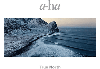 a-ha - True North (High Quality) (Gatefold) (Vinyl LP (nagylemez))